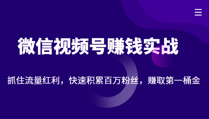 微信视频号赚钱实战：抓住流量红利，快速积累百万粉丝，赚取你的第一桶金 图1