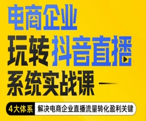 电商企业玩转抖音直播电商系统实战课