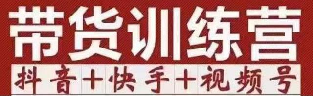 李鲆·短视频带货训练营（第11+12期+13期），手把手教你短视频带货 图1