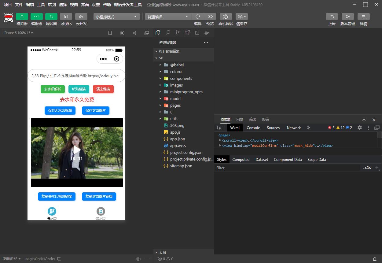 短视频去水印和图片加水印生成微信小程序源码 图1